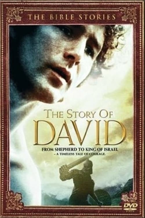 Постер The Story of David